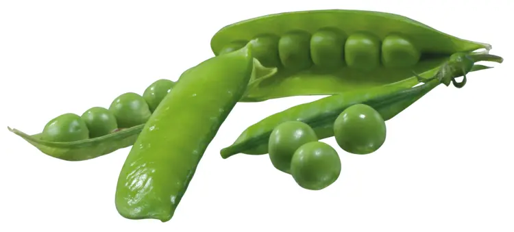 Pea Pods and Loose Peas