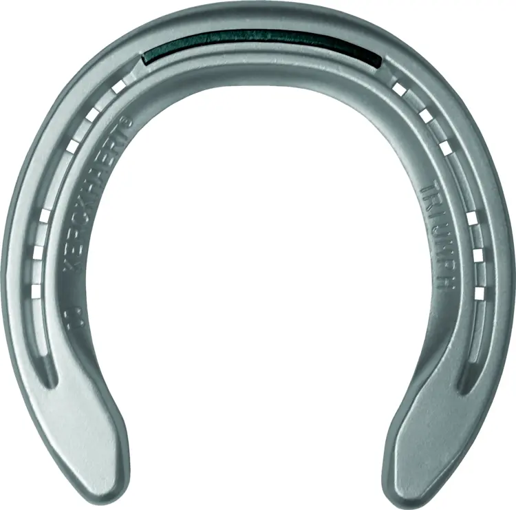 Metal Horseshoe