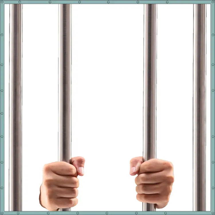 Hands Holding Prison Bars