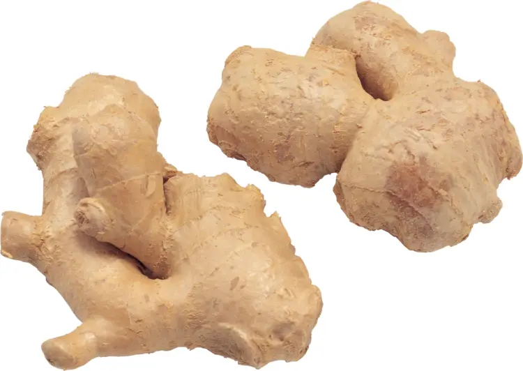 Natural Ginger Root for Flavoring