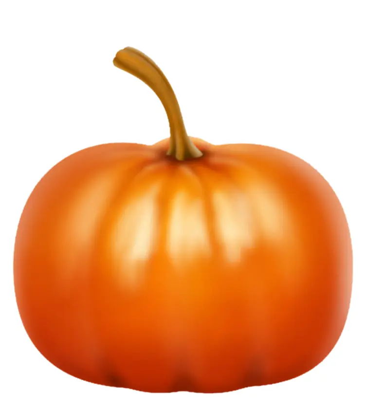 Bright Orange Pumpkin