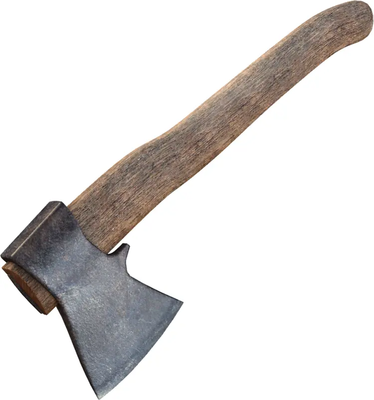 Old Woodcutting Axe