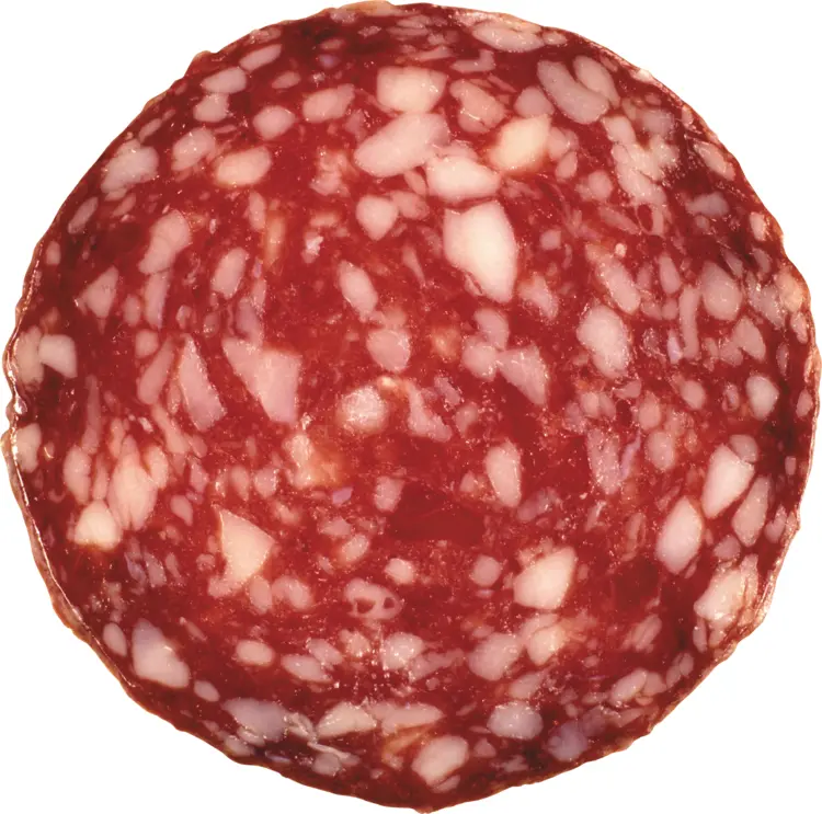 Round Slice of Salami