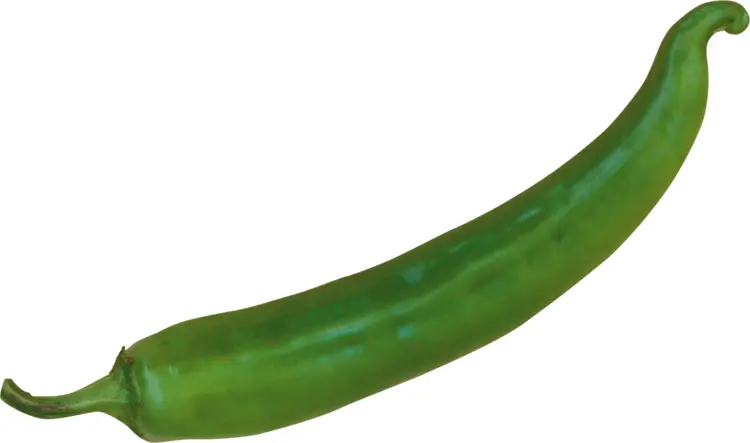 Fresh Green Chili Pepper