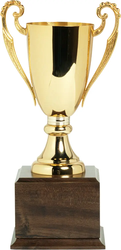 Simple Gold Trophy