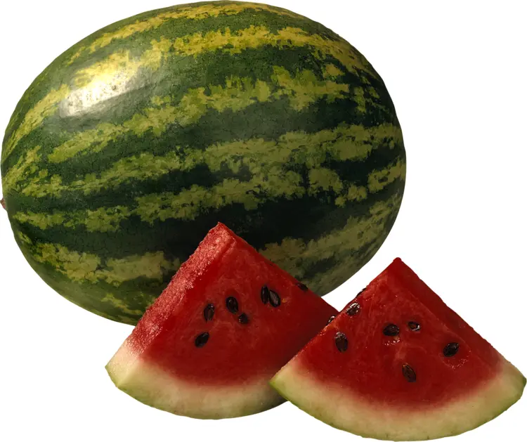 Green and Red Watermelon with Slices