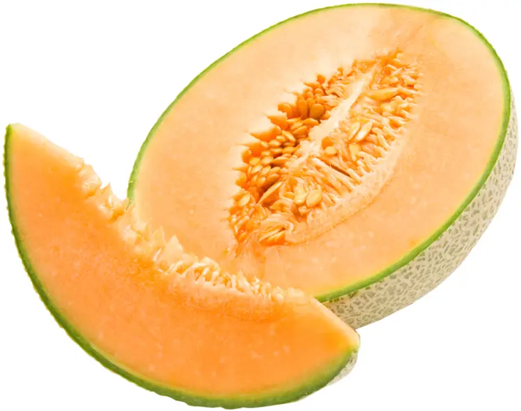 Sliced Cantaloupe Melon