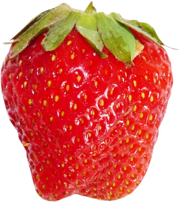 Leafy Red Strawberry