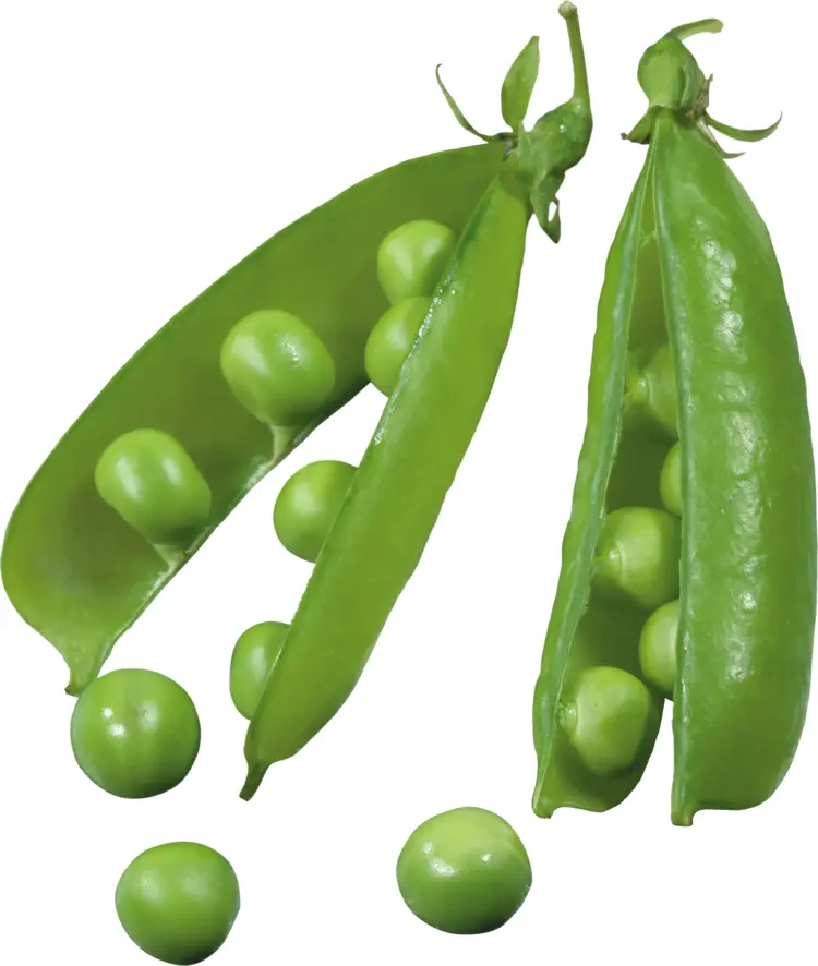 Green Peas in Pods