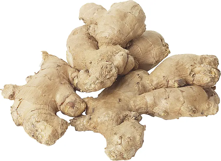 Raw Ginger Root for Health Benefits