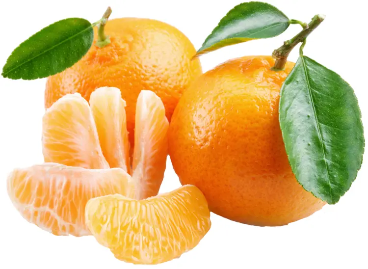 Whole and Peeled Orange Mandarin with Leaves