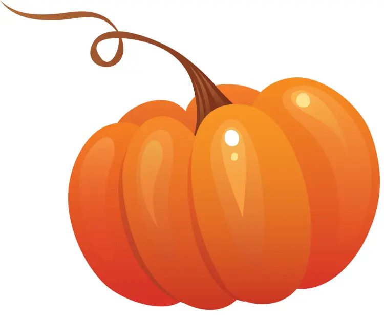 Bright Orange Pumpkin for Halloween