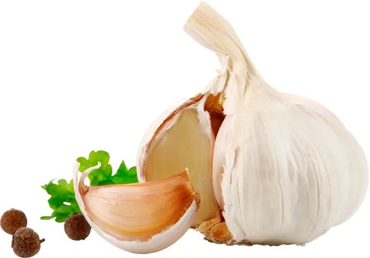 Garlic Bulb with Cloves and Herbs