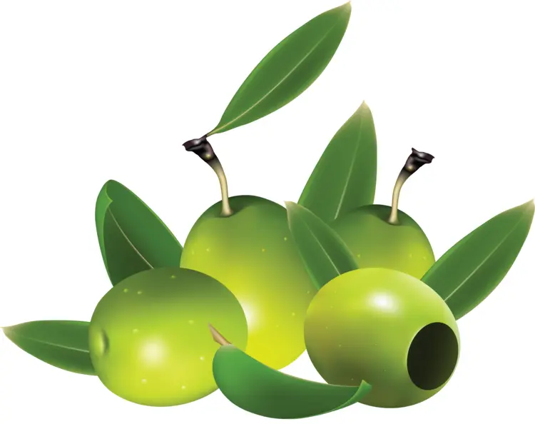 Fresh Green Olives with Leaves