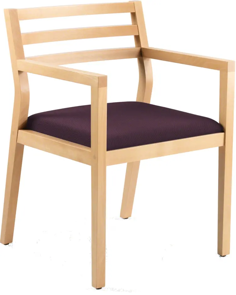 Wooden Chair with Cushion