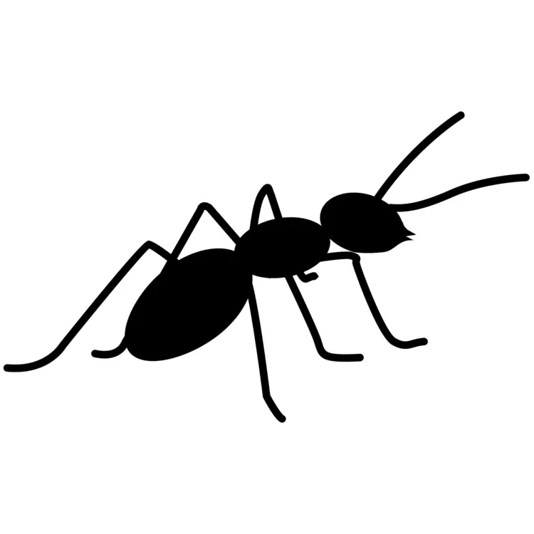 Black Ant Silhouette