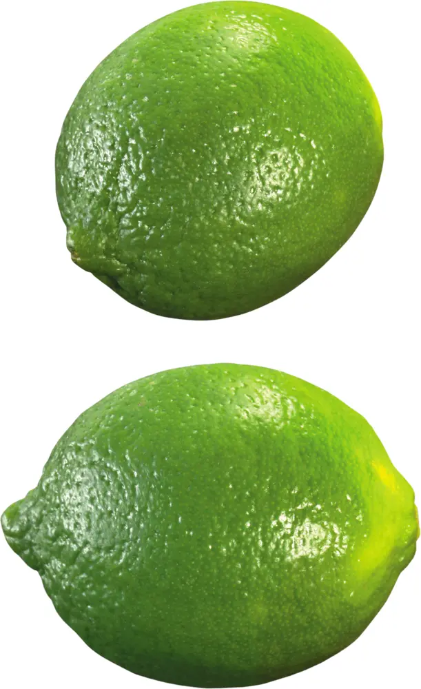 Two Fresh Green Limes