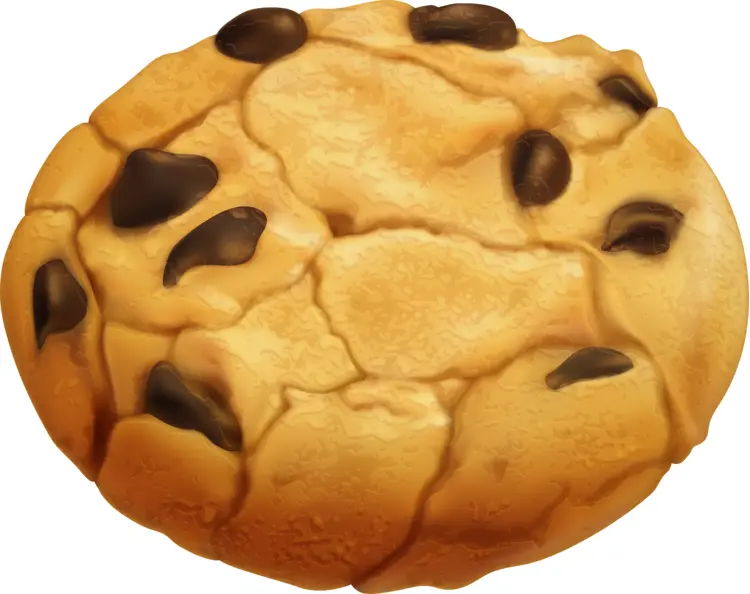 Soft Chocolate Chip Cookie