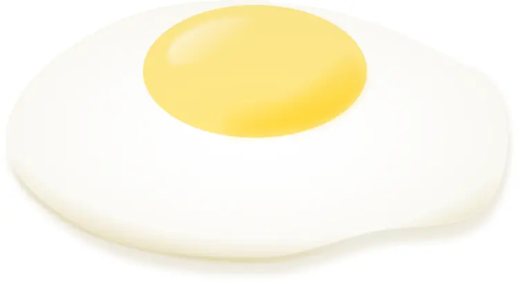 Perfectly Cooked Fried Egg