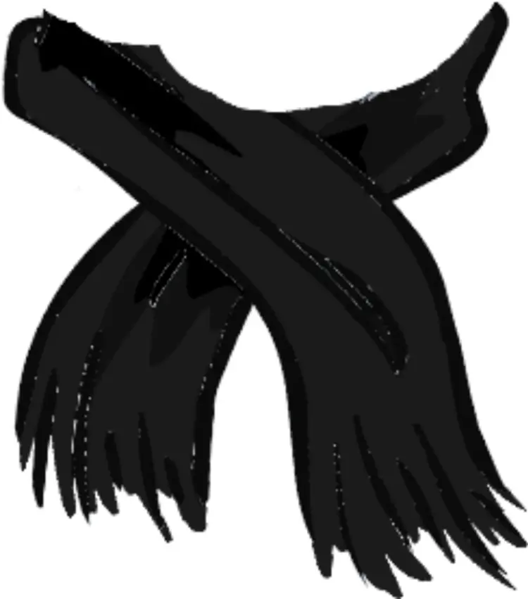 Elegant Black Scarf