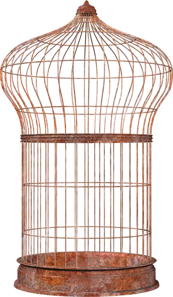 Rusty Vintage Birdcage