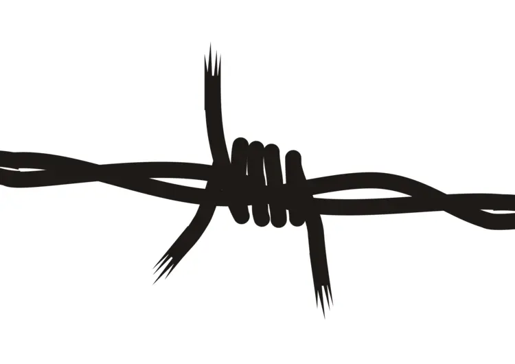 Barbed Wire Knot