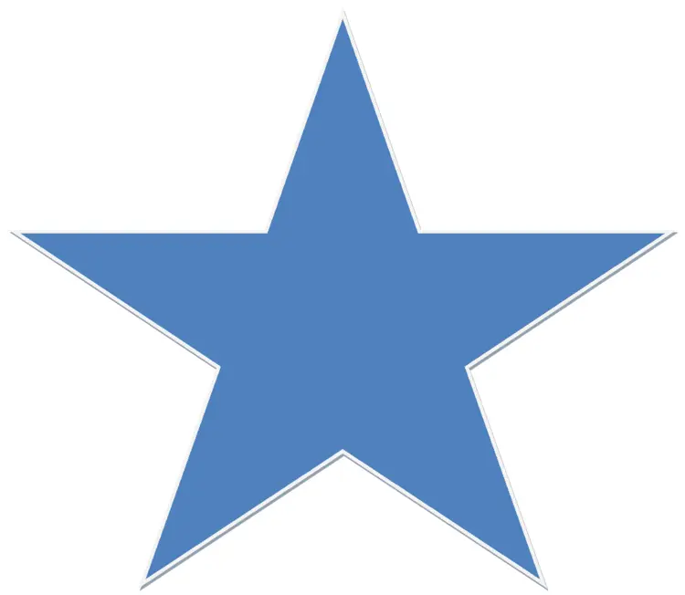 Solid Blue Star Icon