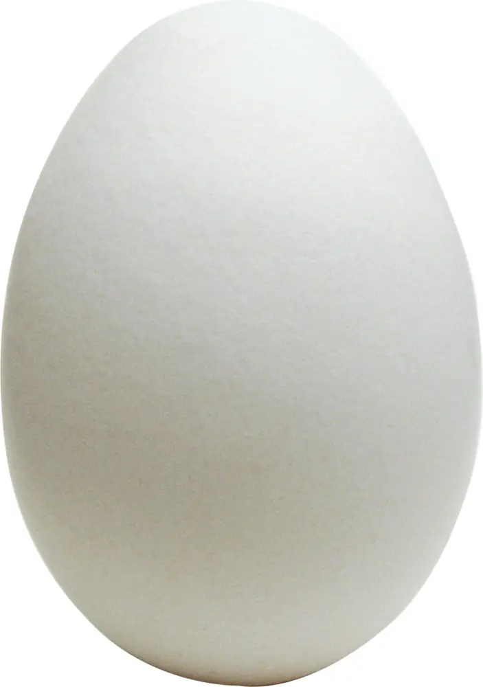 White Egg