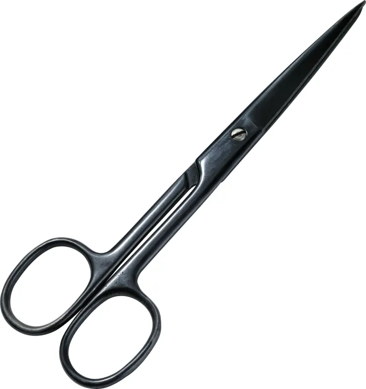 Black Scissors for Crafting