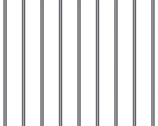 Prison Bars for Security and Confinement