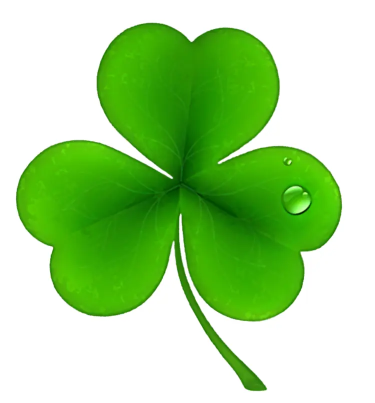 Green Three-leaf Clover with Water Drop for St. Patrick's Day