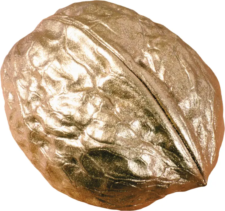 Shiny Golden Walnut