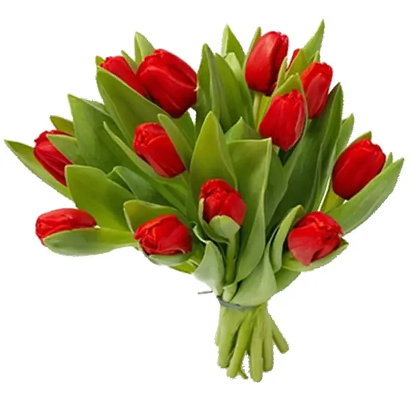 Romantic Red Tulips Bouquet