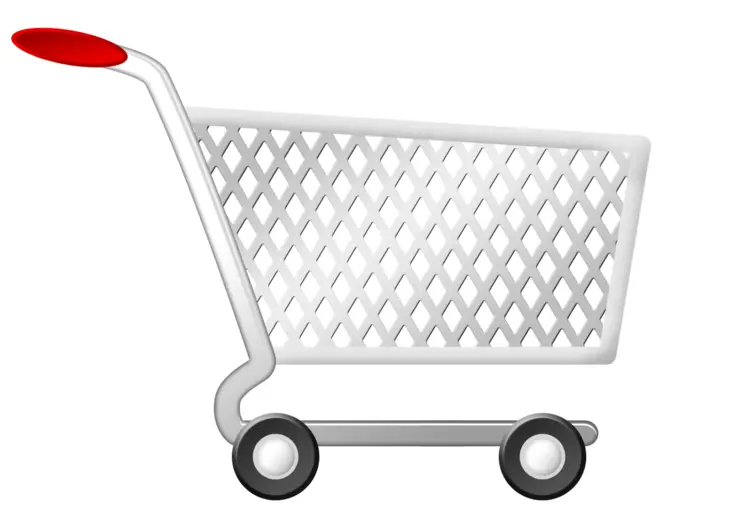Empty Shopping Cart