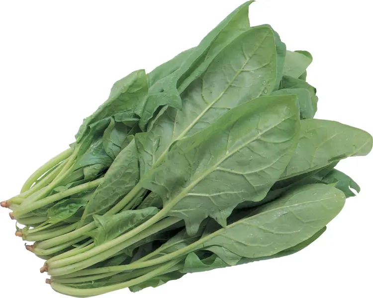 Fresh Spinach Leaves