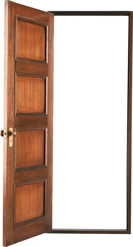 Open Wooden Door with Panels for Home Interiors