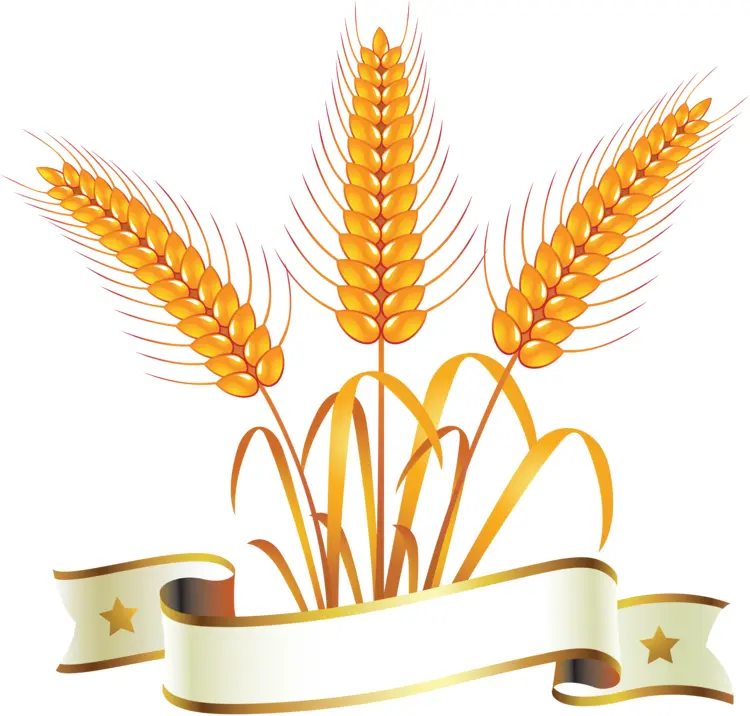 Golden Wheat Stalks with Ribbon