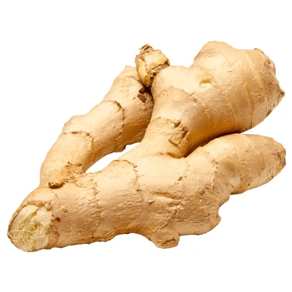 Fresh Ginger Root for Cooking
