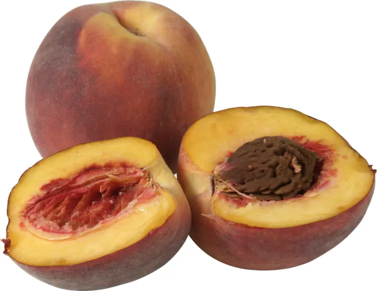 Cut Peaches with Seed