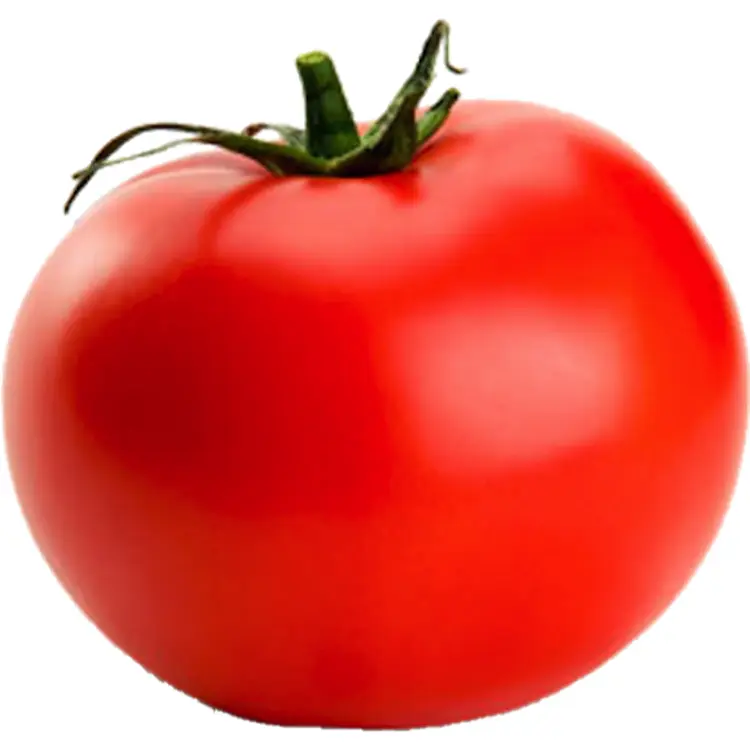 Fresh Red Tomato