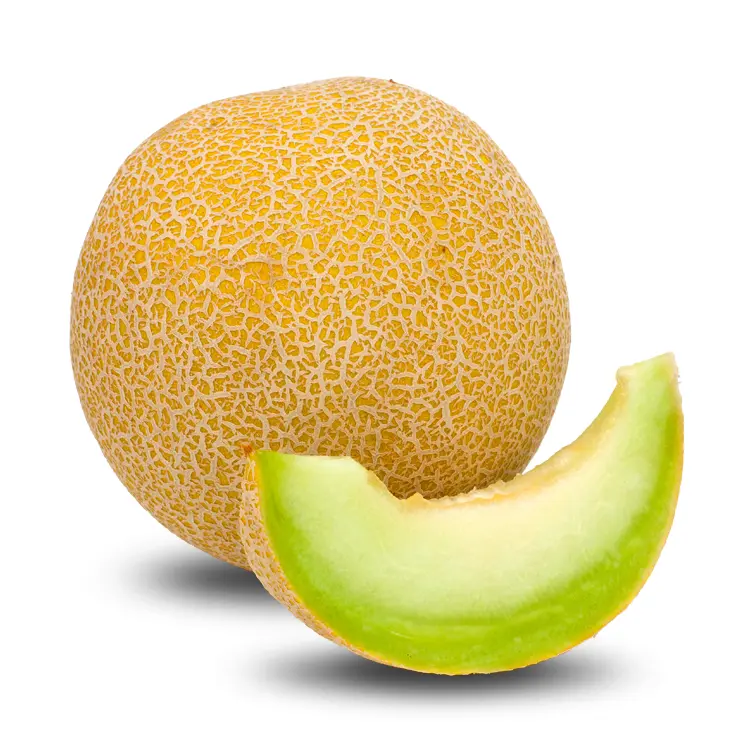 Whole Yellow Melon with Slice