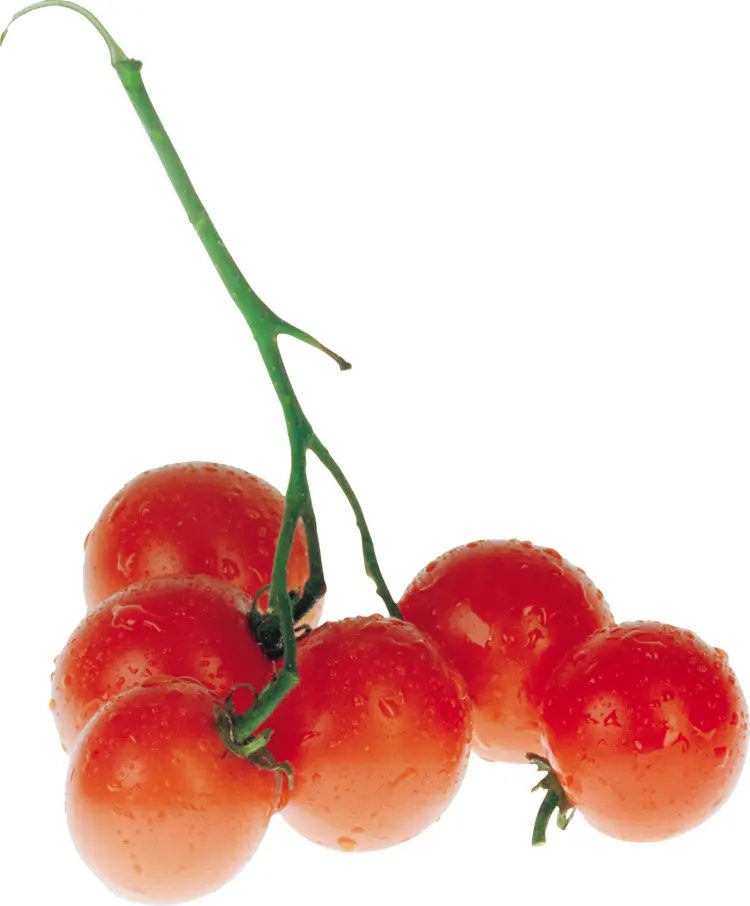 Fresh Cherry Tomatoes