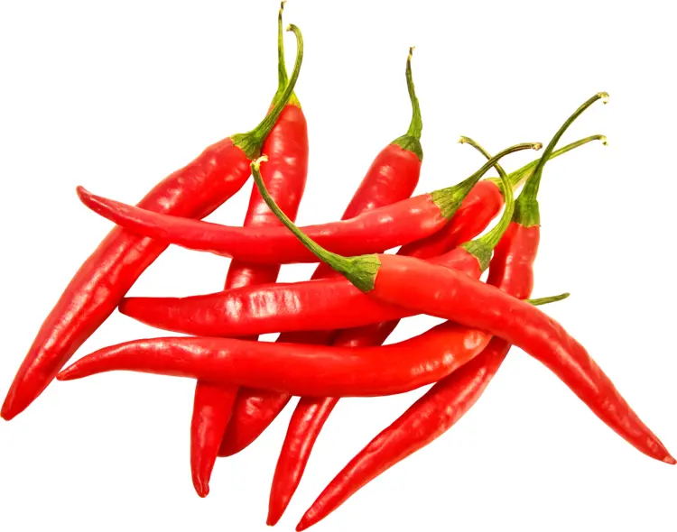 Spicy Red Chili Peppers