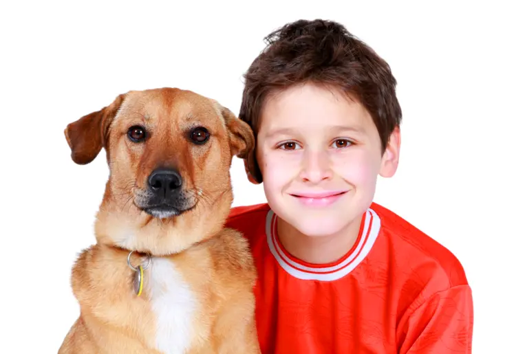 Boy and His Loyal Dog