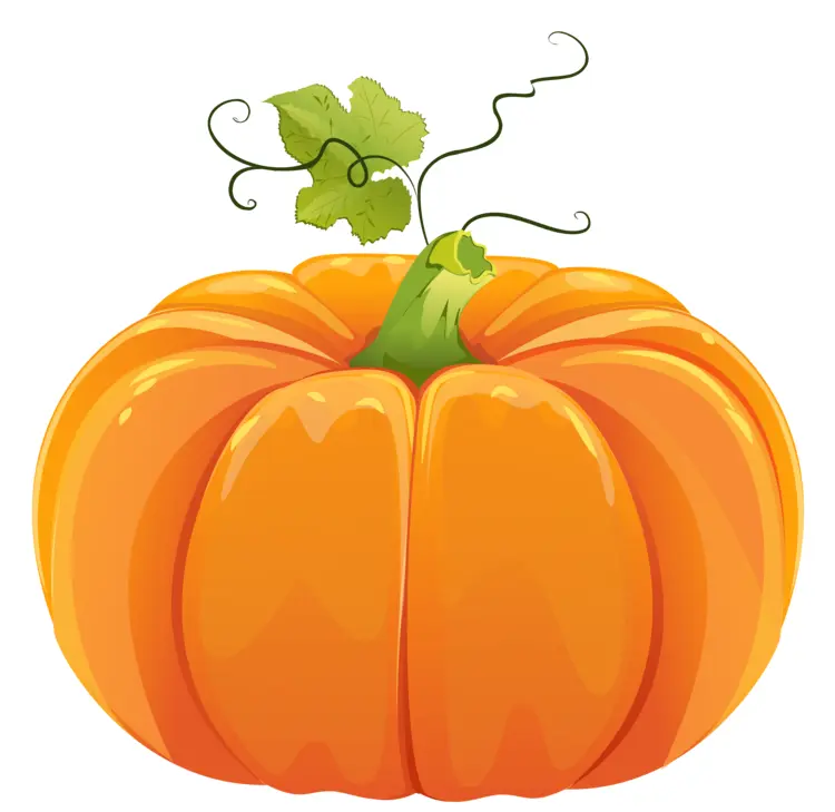 Orange Pumpkin with Green Stem and Leaves