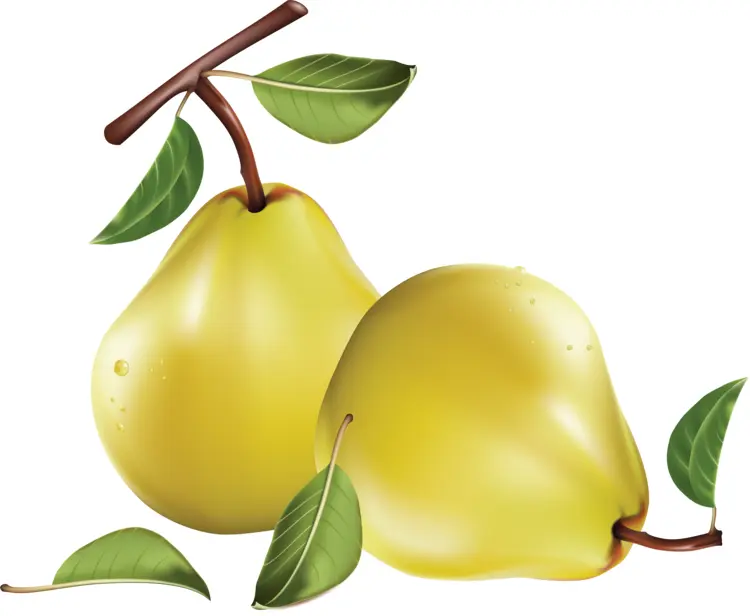 Yellow Pears with Leaves