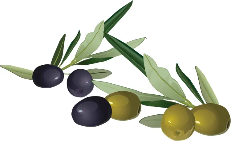 Mixed Olives with Leaves