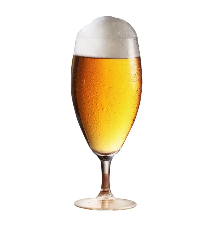 Refreshing Light Beer in Glass