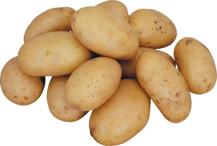 Brown Raw Potatoes