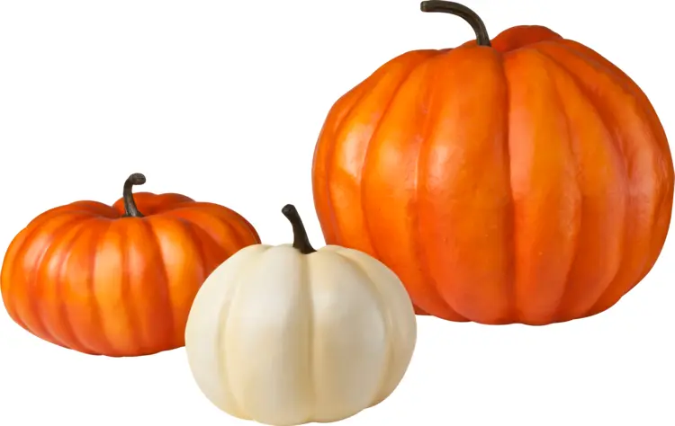 Three Pumpkins in Different Colors